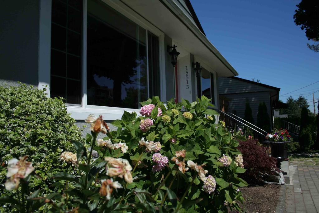 Semi Centre House Hotel White Rock Bagian luar foto